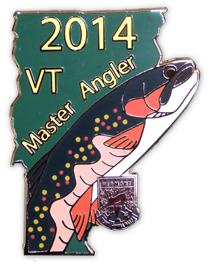 2014 Pin